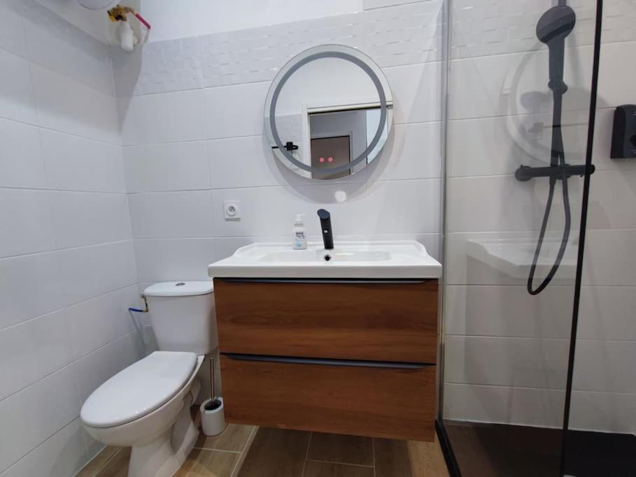 Apartmán Pause Entre Cite Et Bastide *Clim *Wifi *Smart Tv Carcassonne Exteriér fotografie